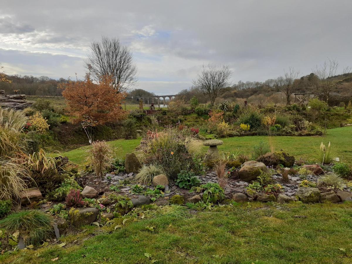 Cosy 2-bed With Garden Near Carlisle Holiday home *